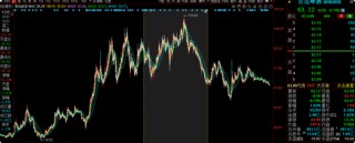 大成基金齐炜中旗下消费精选股票A亏18%，高位持有中国中免被质疑