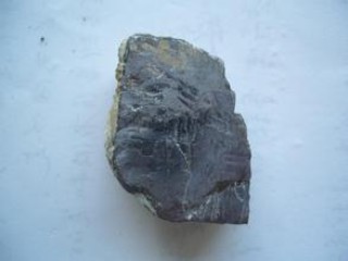 沪锌涨停板的幅度是怎样的？涨停板幅度的设置有什么作用？