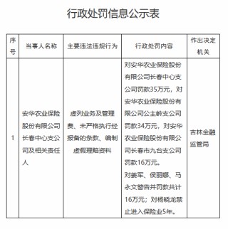 安华农险三家支公司因虚列业务等被罚85万元，一负责人被禁业5年