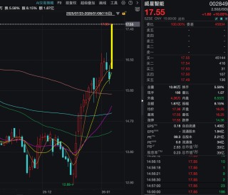 机构1.68亿元举牌上市公司！ “85后”成都牛散操盘，成立才1天！