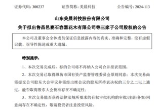 再次出售园林资产，美晨科技要聚焦汽车零部件业务