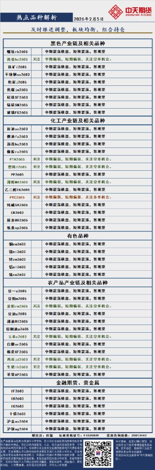 中天策略:2月5日市场分析
