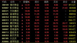 午后，CPO概念爆发！