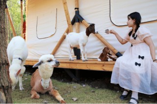 从偏僻小山村到“湖北小瑞士”，看泰康如何打造乡村振兴的“京山样板”