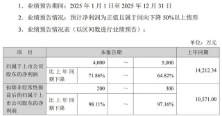 高额关税+“双反”调查，知名车企去年美国市场收入锐减近80%，净利预计降超六成！此前过半营收来自美国！斥巨资跨界投资半导体能救场吗？