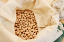 新手适合哪些期货交易策略？