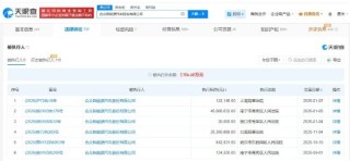 哪吒汽车等被执行4583万，已累计被执行超7186万