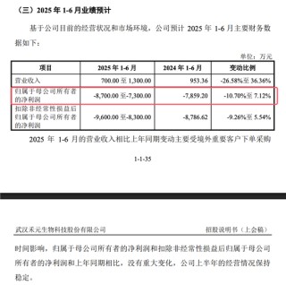 武汉禾元科创板IPO：亏损公司融资再启动！募资从35亿减为24亿！IPO说明书的预期大概率达不到！