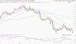 突发！钢铝关税翻倍，美元命运几何？