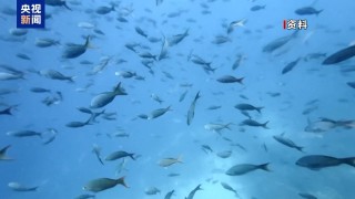 以军瞄准伊朗布什尔核电站？俄警告或酿切尔诺贝利级核灾难