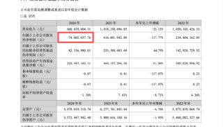靠投资拉业绩又被反噬，双鹭药业2025年炒股亏2亿，年薪43万董事长徐明波自掏腰包先补5000万