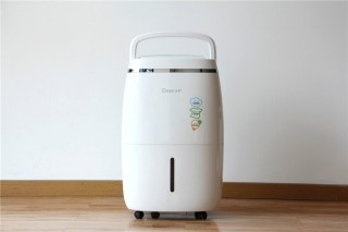 高端实体项目的定义是什么？这类项目的发展潜力如何？