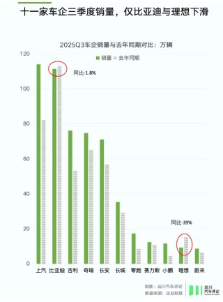 谁偷袭了比亚迪？