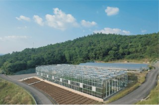 从偏僻小山村到“湖北小瑞士”，看泰康如何打造乡村振兴的“京山样板”