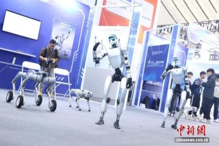 2025年“互联网之光”博览会开幕