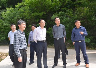 如何进行通货膨胀的分析研究？这种分析对经济决策有何作用？