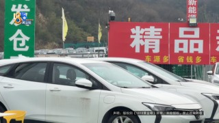 说好的交强险还没买，销售就离职了？她看了看朋友圈，事情没那么简单……