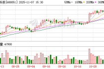 佳华科技龙虎榜数据（11月7日）