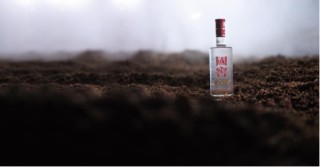 泸州老窖三季报：231亿营收背后的渠道攻坚与效率革命