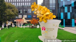 霸王茶姬年入124亿冲刺IPO，“中国孤儿”要去美国敲钟了！