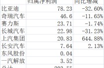 丰田Q3赚了5.5个比亚迪