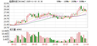 能辉科技：补选独立董事