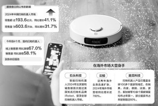 “蓝海诱惑”与“红海激战”并存扫地机器人行业竞争迈入深水区