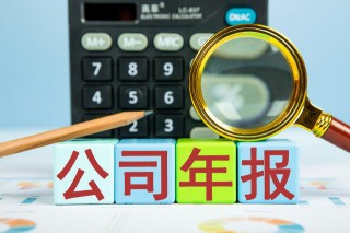 如何认识企业业务范畴相关内容？这些内容对企业发展有何重要性？