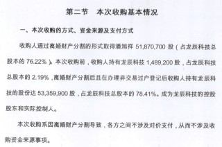 龙辰科技IPO，从前夫“净身退股”到关键资产“零元购”，这位女董事长手段不简单！