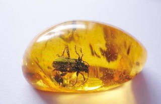 如何正确玩改装车？改装车有哪些注意事项？