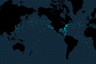 “抢运”大战一触即发！高盛预言：未来90天中国出口将爆火