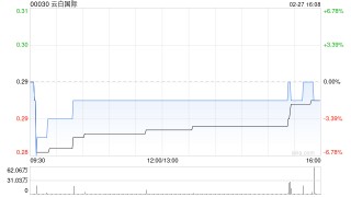 云白国际向上海信托发行19.38亿股换股股份