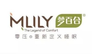 如何看待百合湾的相关情况？对其的认识有哪些方面？