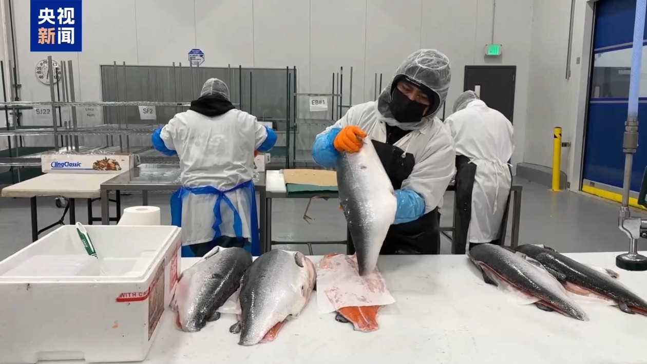 美股继续暴跌、衰退预警齐发 美媒诘问:谁为关税“埋单”? 第10张 美股继续暴跌、衰退预警齐发 美媒诘问:谁为关税“埋单”? 第10张