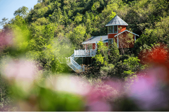 从偏僻小山村到“湖北小瑞士”,看泰康如何打造乡村振兴的“京山样板”  第1张 从偏僻小山村到“湖北小瑞士”,看泰康如何打造乡村振兴的“京山样板”  第1张