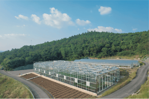 从偏僻小山村到“湖北小瑞士”,看泰康如何打造乡村振兴的“京山样板”  第6张 从偏僻小山村到“湖北小瑞士”,看泰康如何打造乡村振兴的“京山样板”  第6张