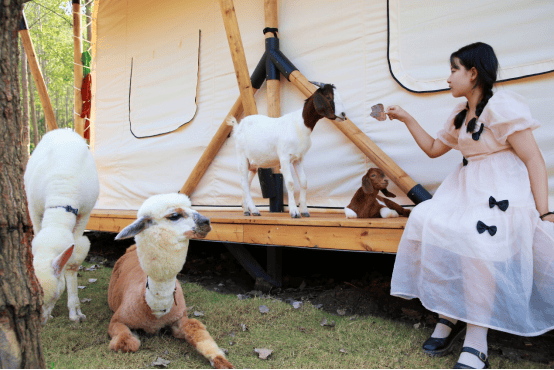 从偏僻小山村到“湖北小瑞士”,看泰康如何打造乡村振兴的“京山样板”  第7张 从偏僻小山村到“湖北小瑞士”,看泰康如何打造乡村振兴的“京山样板”  第7张