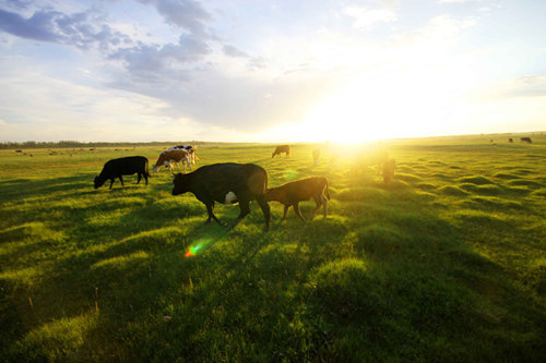 买二手凯美瑞怎么样?购买二手凯美瑞的注意事项有哪些?  第1张 买二手凯美瑞怎么样?购买二手凯美瑞的注意事项有哪些?  第1张