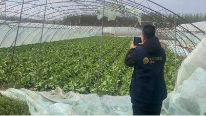 极端大风中,中国太保两小时完成首笔赔付  第2张 极端大风中,中国太保两小时完成首笔赔付  第2张