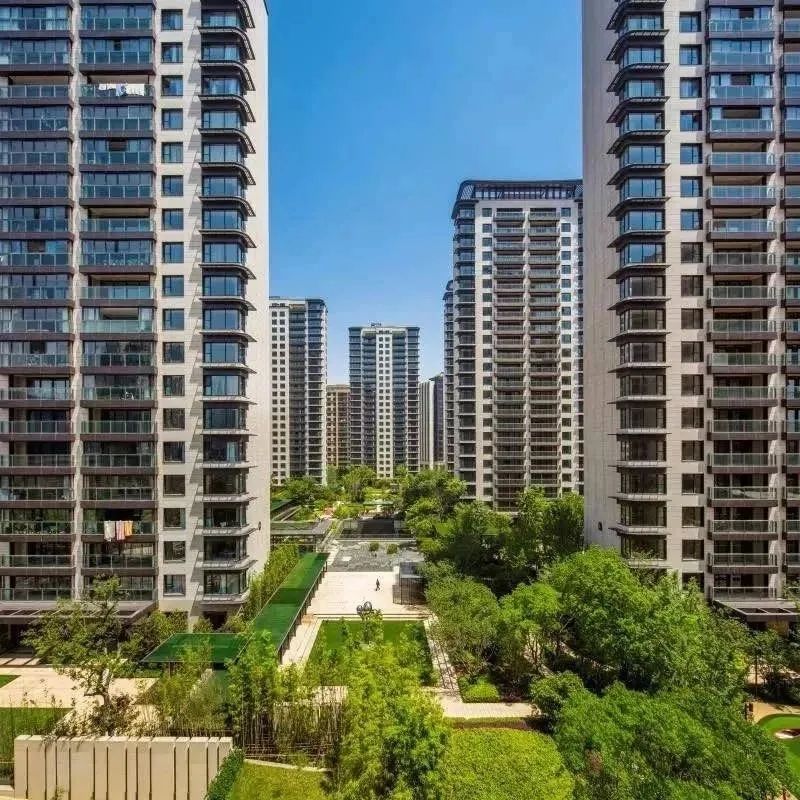 12小时认购率破190%！闵行梅陇再现积分神盘！  第36张