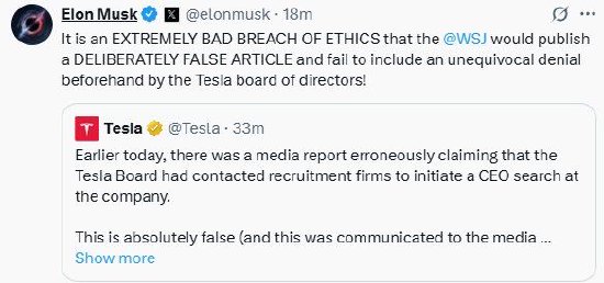 特斯拉要更换CEO？马斯克怒喷“假新闻”  第2张
