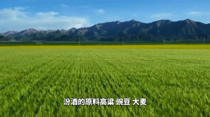 时间沉香,品质出海:汾酒如何重塑中国白酒的全球表达  第2张 时间沉香,品质出海:汾酒如何重塑中国白酒的全球表达  第2张