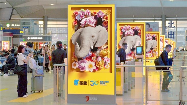 圣象全新裸眼3D大片上线,品牌数字化传播再升级  第2张 圣象全新裸眼3D大片上线,品牌数字化传播再升级  第2张