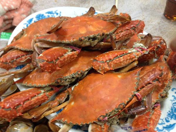 如何分析海鲜价格因素？斑节虾价格贵的原因是什么？  第1张