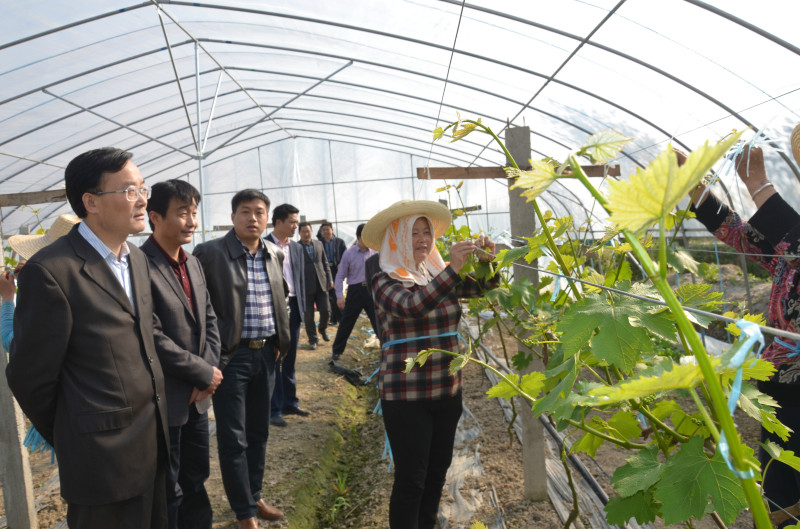 如何理解通货膨胀产生的原因?通货膨胀有哪些风险?  第1张 如何理解通货膨胀产生的原因?通货膨胀有哪些风险?  第1张