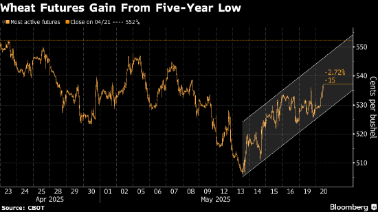 小麦价格上涨 因有迹象显示主要进口国兴趣重燃  第1张 小麦价格上涨 因有迹象显示主要进口国兴趣重燃  第1张