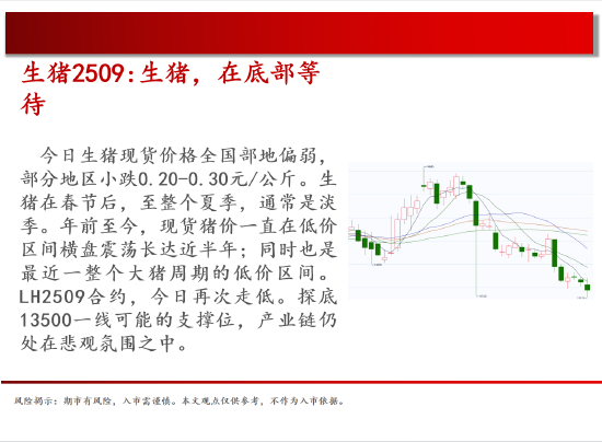 中天期货:棕榈重回弱势 橡胶15000一线持续关注  第4张