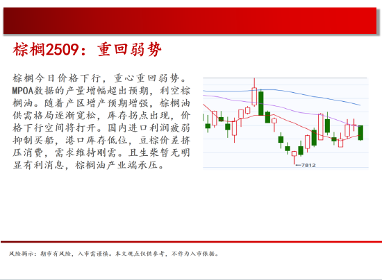 中天期货:棕榈重回弱势 橡胶15000一线持续关注  第13张