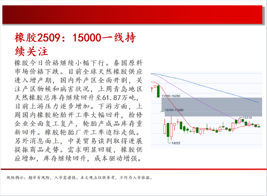 中天期货:棕榈重回弱势 橡胶15000一线持续关注  第19张