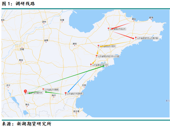 新湖农产（油脂）专题：山东花生产区调研报告  第3张